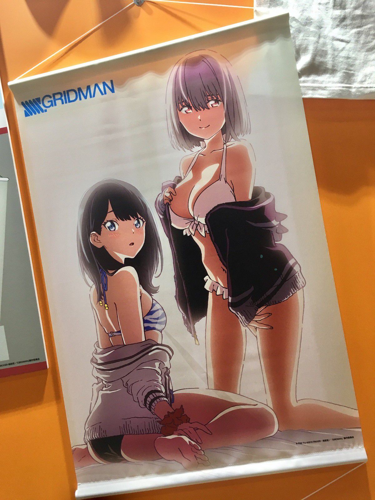 SSSS. GRIDMAN], such as the erotic tapestry and buttocks of swimsuit and Akane of the Rikka 6