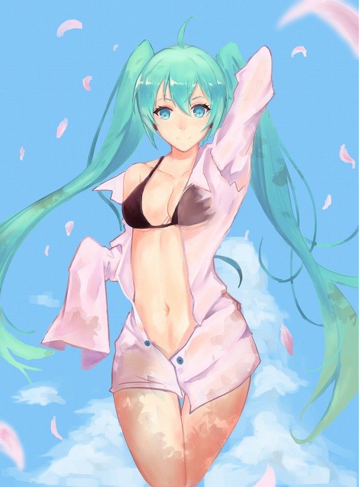 I want to pull in the secondary erotic image of Vocaloid! 17