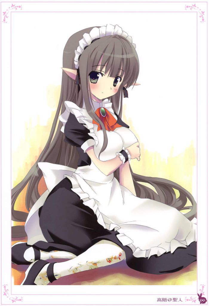 Publish the picture folder of the maid! 10