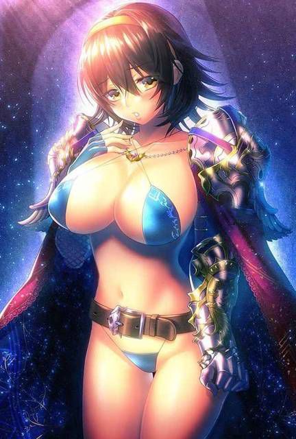 Bikini armor and dancer in a different world sexy costume 47