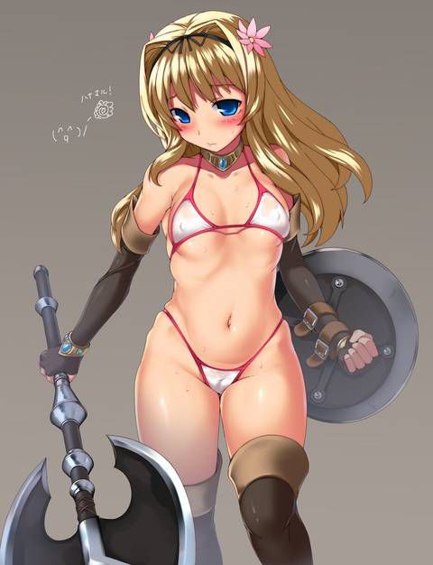 Bikini armor and dancer in a different world sexy costume 51