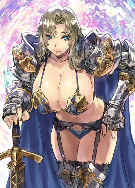 Bikini armor and dancer in a different world sexy costume 6