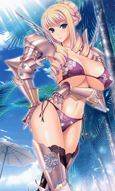 Bikini armor and dancer in a different world sexy costume 62