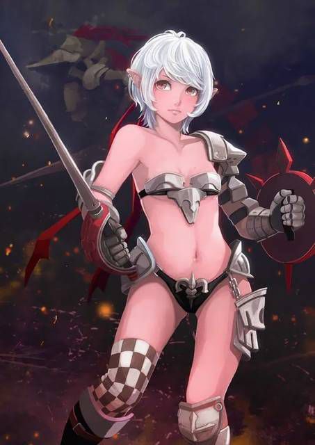 Bikini armor and dancer in a different world sexy costume 67