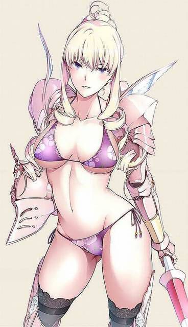 Bikini armor and dancer in a different world sexy costume 75