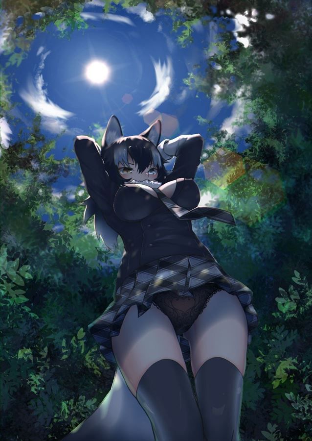 I tried to find a high-quality erotic image of Kemono friends! 10