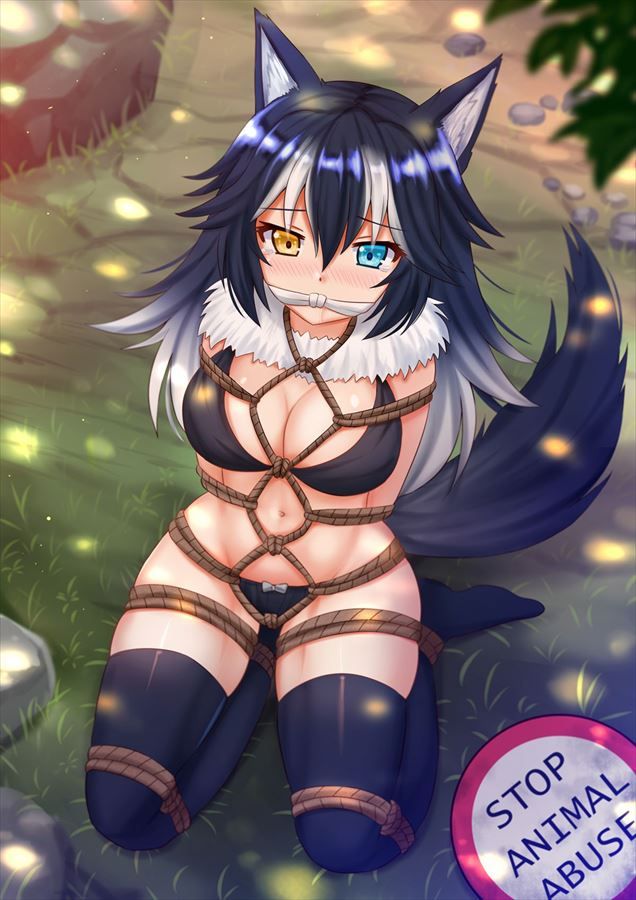 I tried to find a high-quality erotic image of Kemono friends! 3