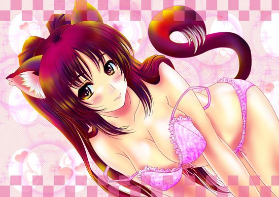Moe Erotic Image 603 pieces of Kosaka Tamaki (Tama sister) (ToHeart2) 2