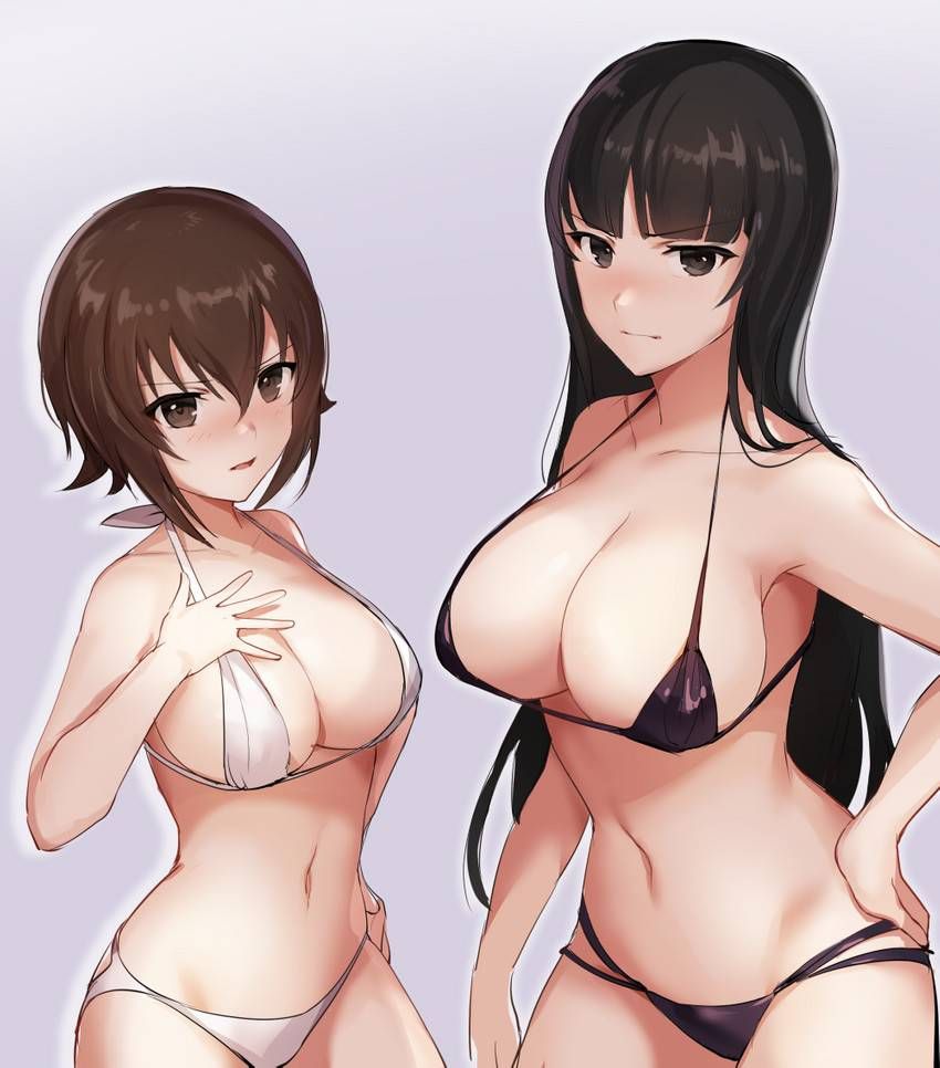 Cute two-dimensional image of girls und Panzer. 18