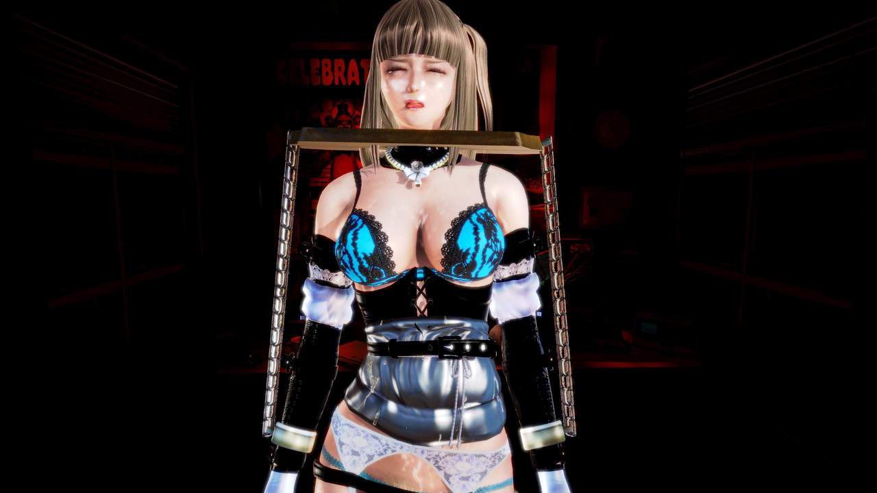 HoneySelect Females common and Torture instrument H SCENES 47