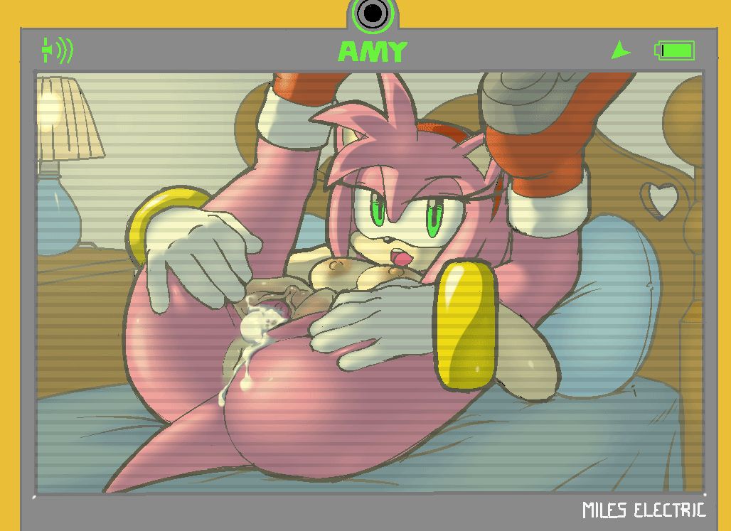 Amy Rose Collection - Hotred/isadultart 15