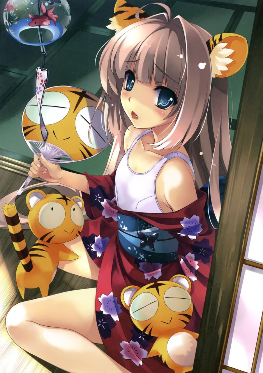 Doero image of Kimono and yukata 6