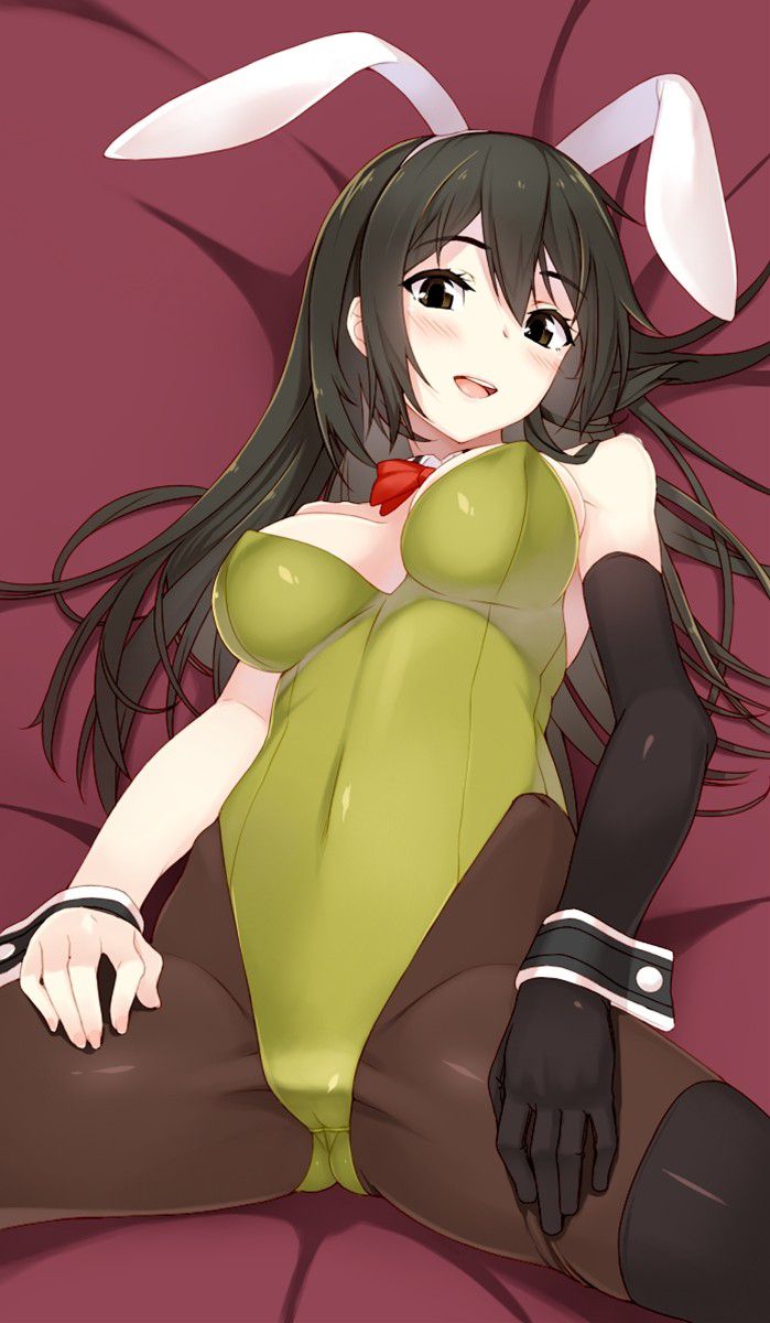 Bunny-Chan's lewd being is abnormal, that clothes 5