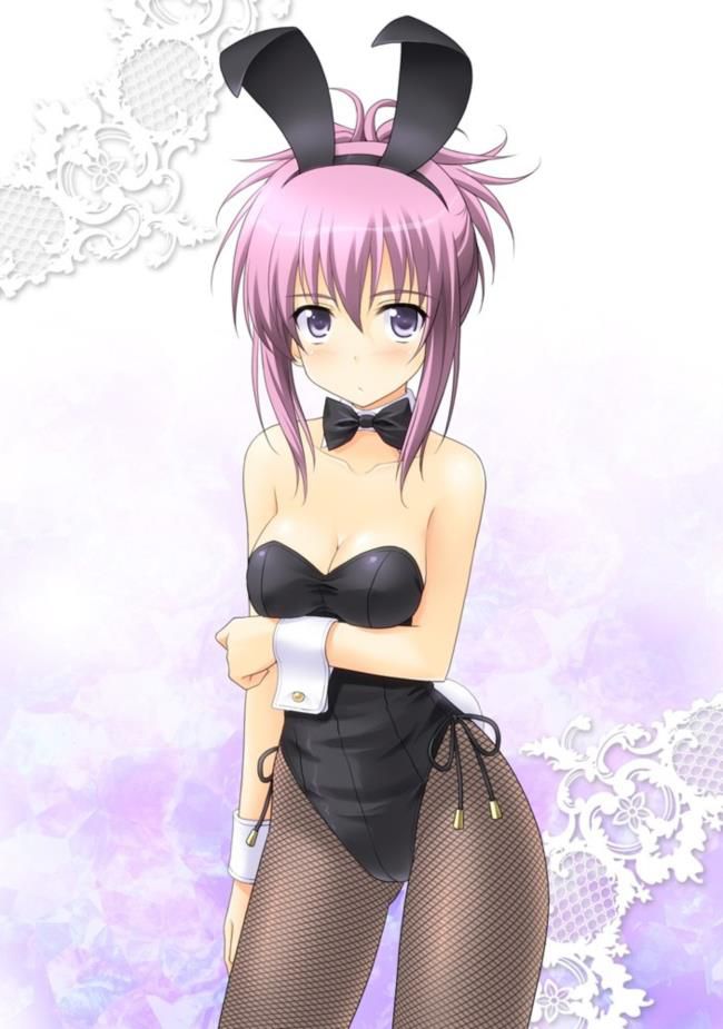 I want to Nuki a bunny girl. 5