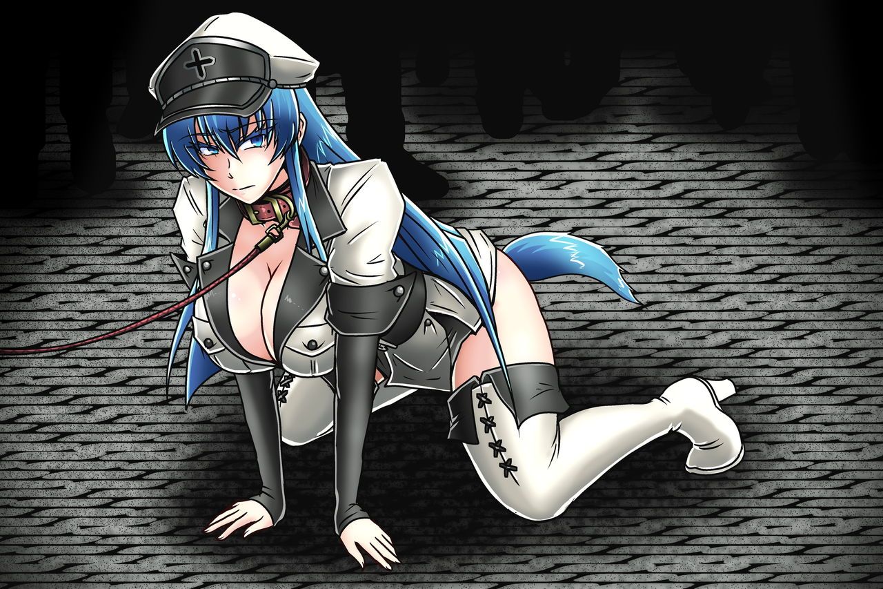 [Tasuro Kuzuha] Mayonaka no Sanpo - Esdeath Shougun (Akame ga Kill!) [たすろくずは] 真夜中の散歩_エスデス将軍 (アカメが斬る!) 12