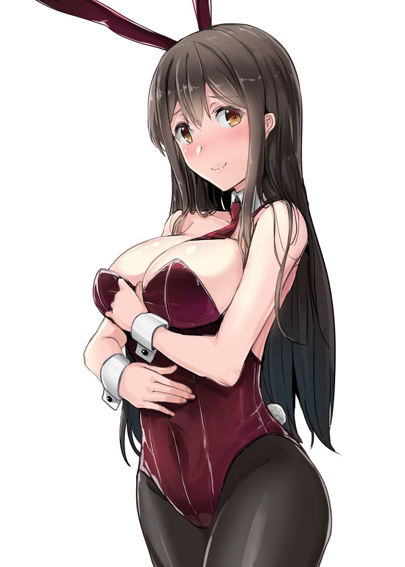 [Second] sexy bunny girl figure secondary erotic image part 28 [Bunny girl] 21