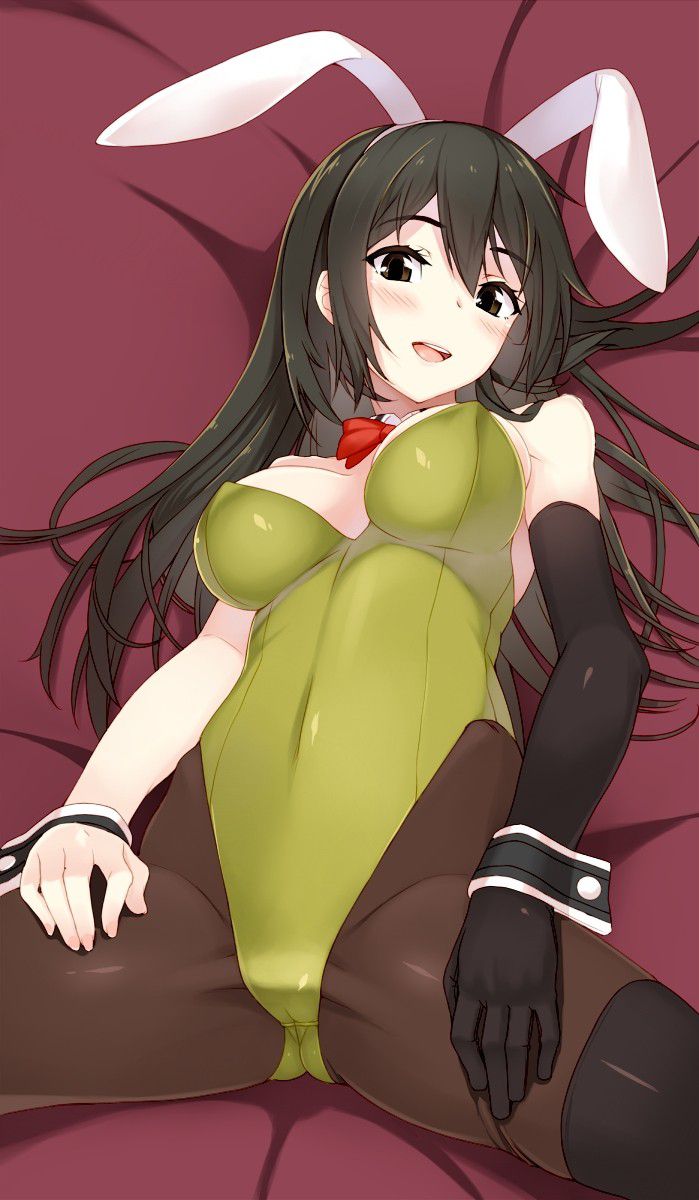 [Second] sexy bunny girl figure secondary erotic image part 28 [Bunny girl] 25