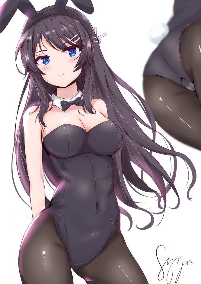 [Second] sexy bunny girl figure secondary erotic image part 28 [Bunny girl] 29