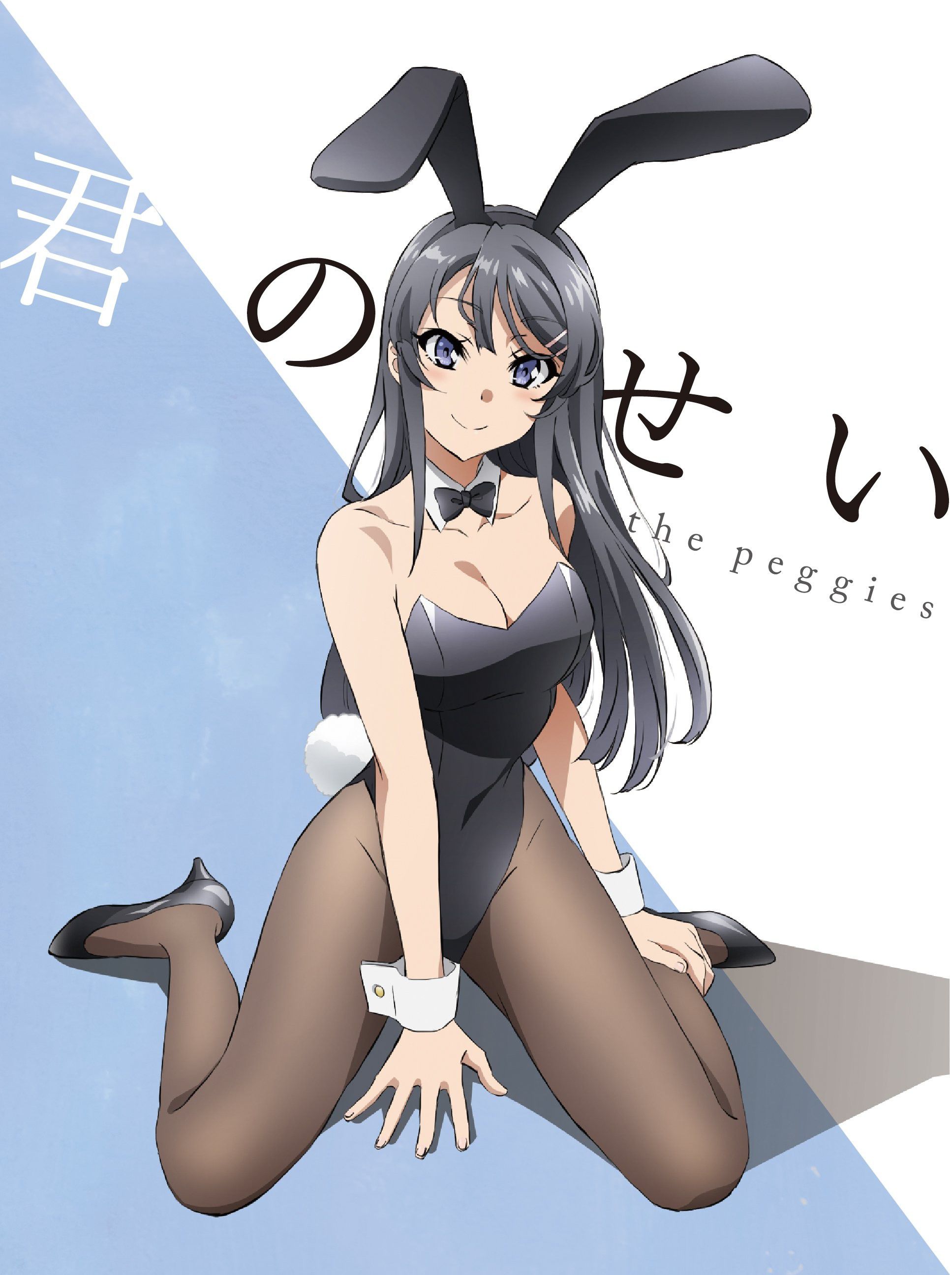 [Second] sexy bunny girl figure secondary erotic image part 28 [Bunny girl] 5