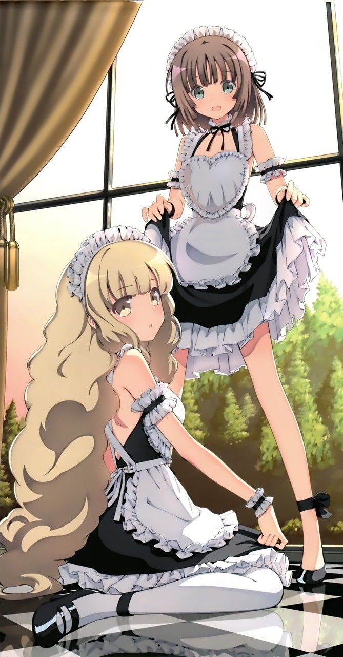 Two-dimensional beautiful girl dressed in maid clothes photo vol.7 2