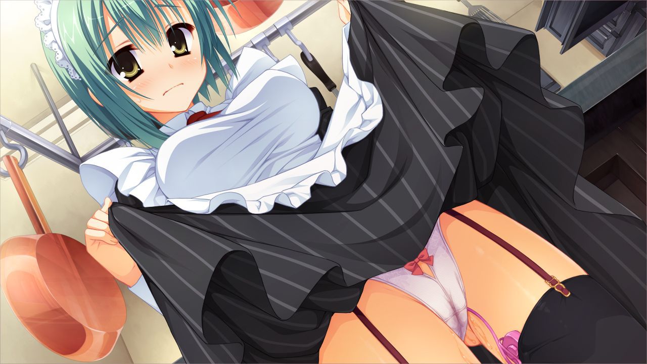 Two-dimensional beautiful girl dressed in maid clothes photo vol.7 24