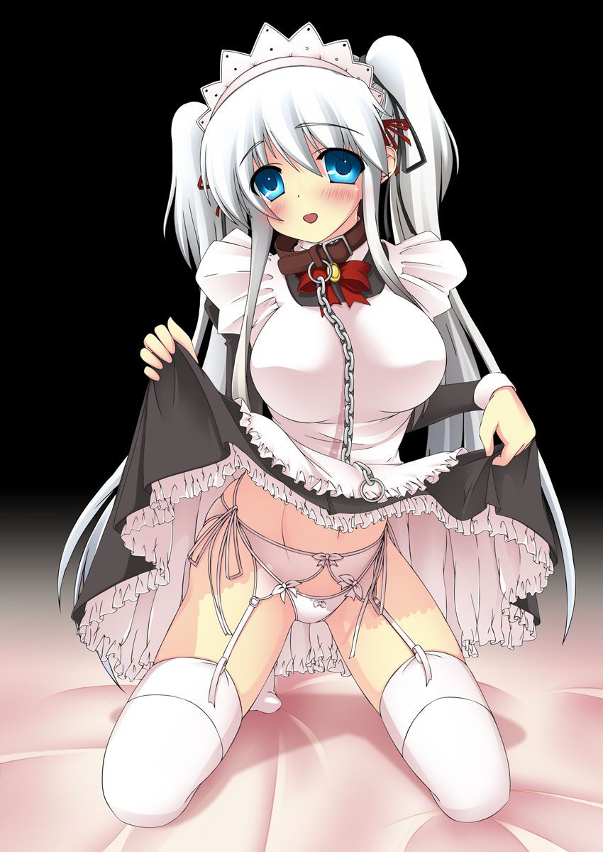 Two-dimensional beautiful girl dressed in maid clothes photo vol.7 48