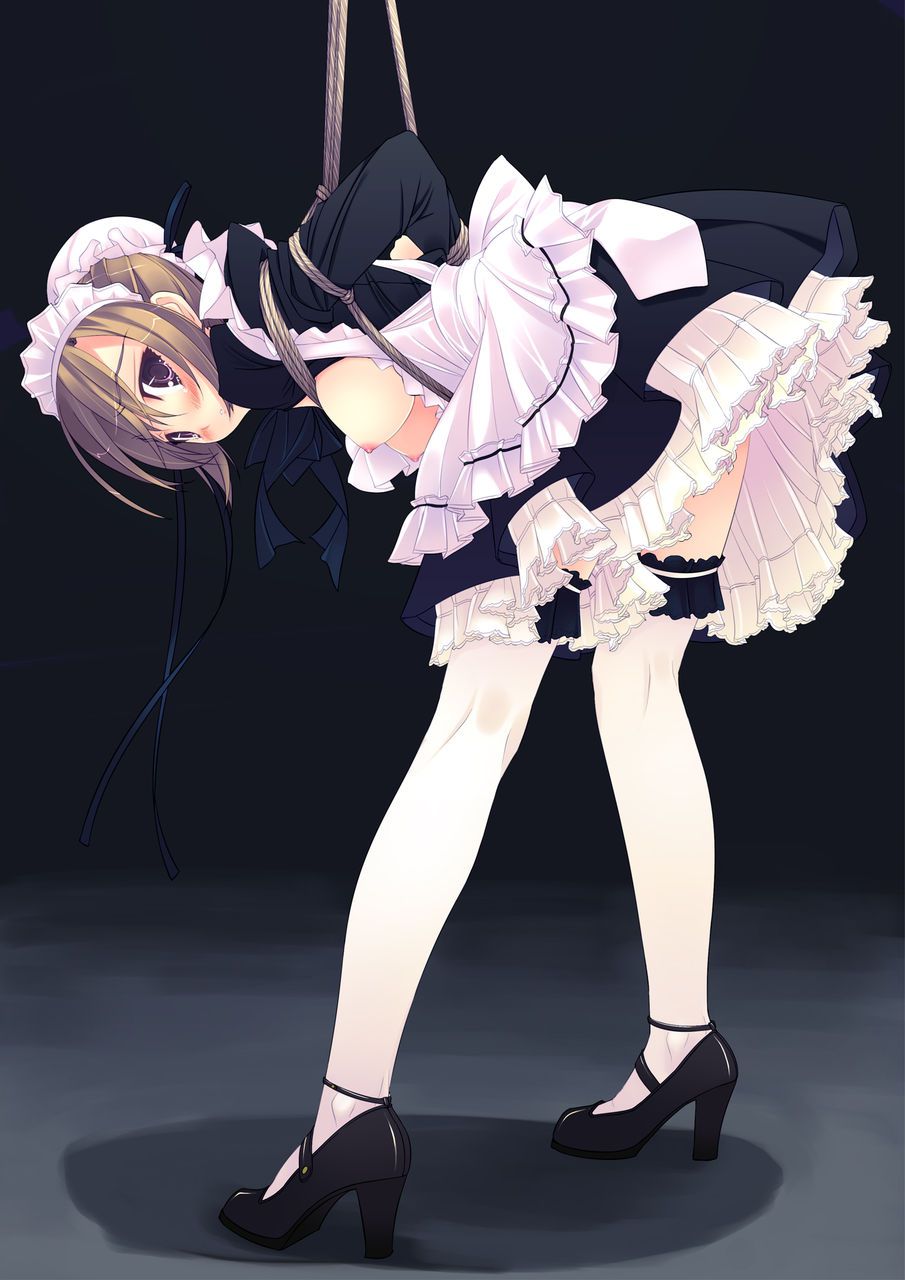 Two-dimensional beautiful girl dressed in maid clothes photo vol.7 52