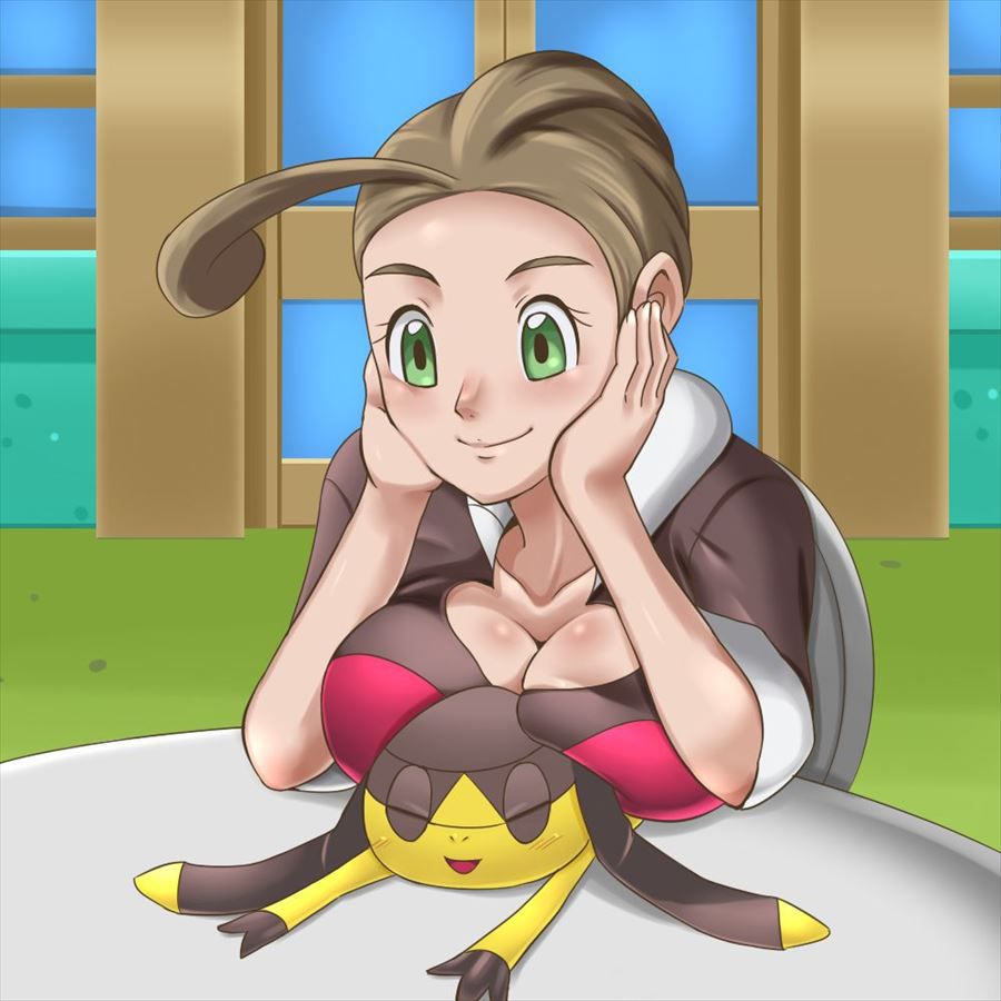 [Pokemon] Cute two-dimensional image of pansy. 13