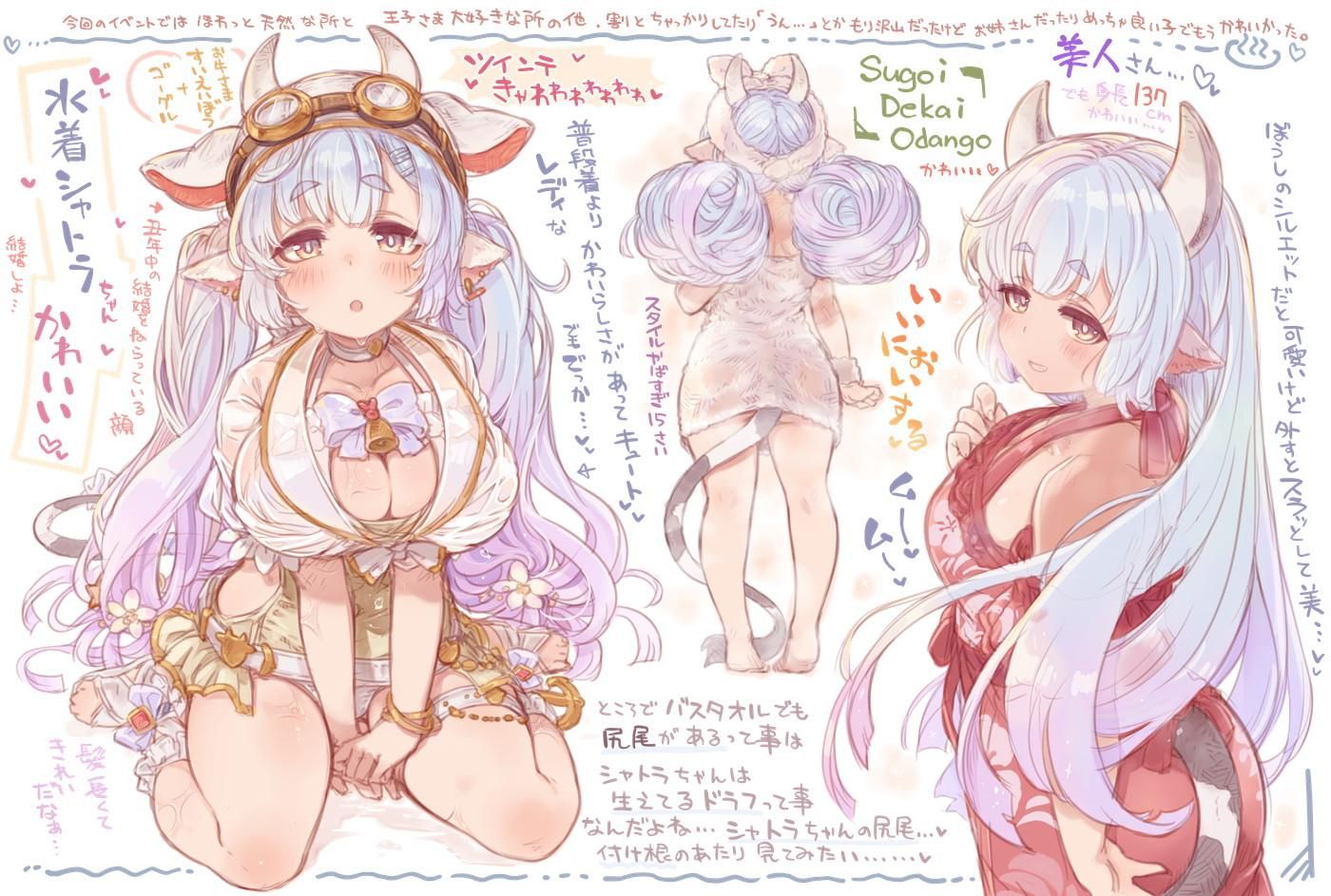 Get the lascivious and obscene images of Granblue fantasy! 6