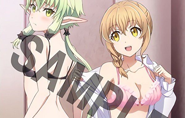 Anime [Goblin Slayer] BD/DVD store benefits and erotic illustrations of girls swimsuit and underwear 1