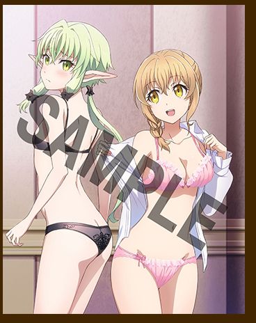 Anime [Goblin Slayer] BD/DVD store benefits and erotic illustrations of girls swimsuit and underwear 6