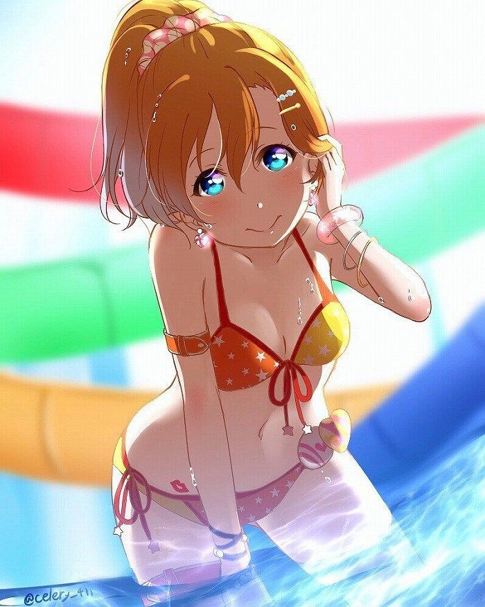 "Love Live 31 Photos" Kosaka Honoka Idol Swimsuit Image Summary 17