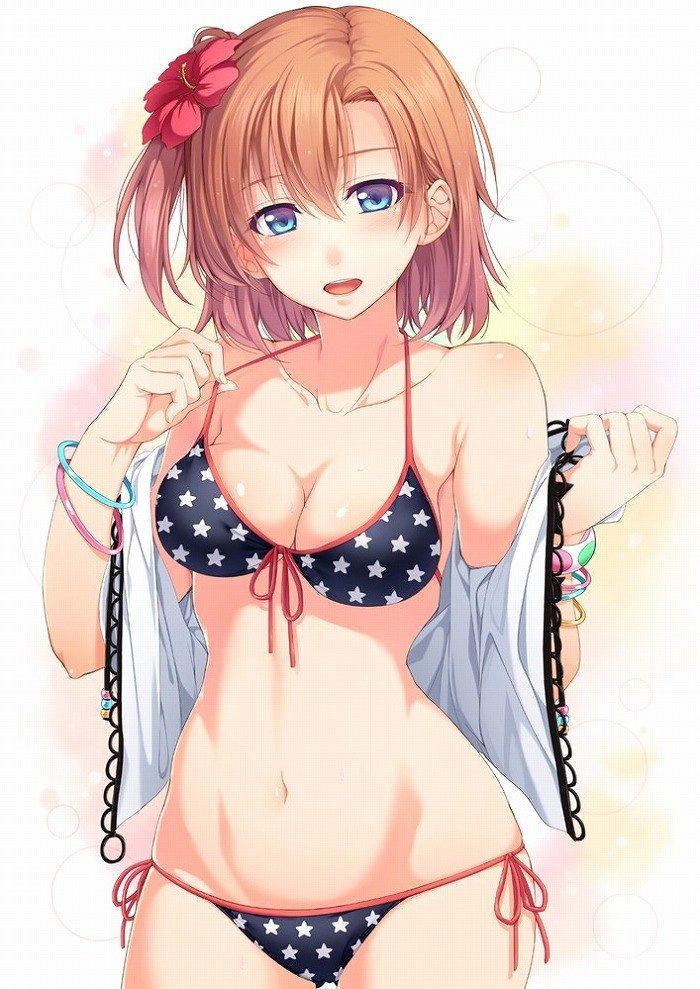 "Love Live 31 Photos" Kosaka Honoka Idol Swimsuit Image Summary 22