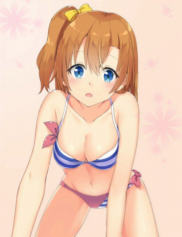 "Love Live 31 Photos" Kosaka Honoka Idol Swimsuit Image Summary 27