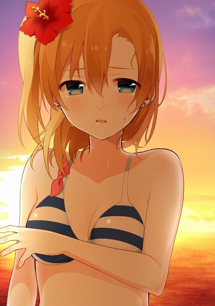 "Love Live 31 Photos" Kosaka Honoka Idol Swimsuit Image Summary 3