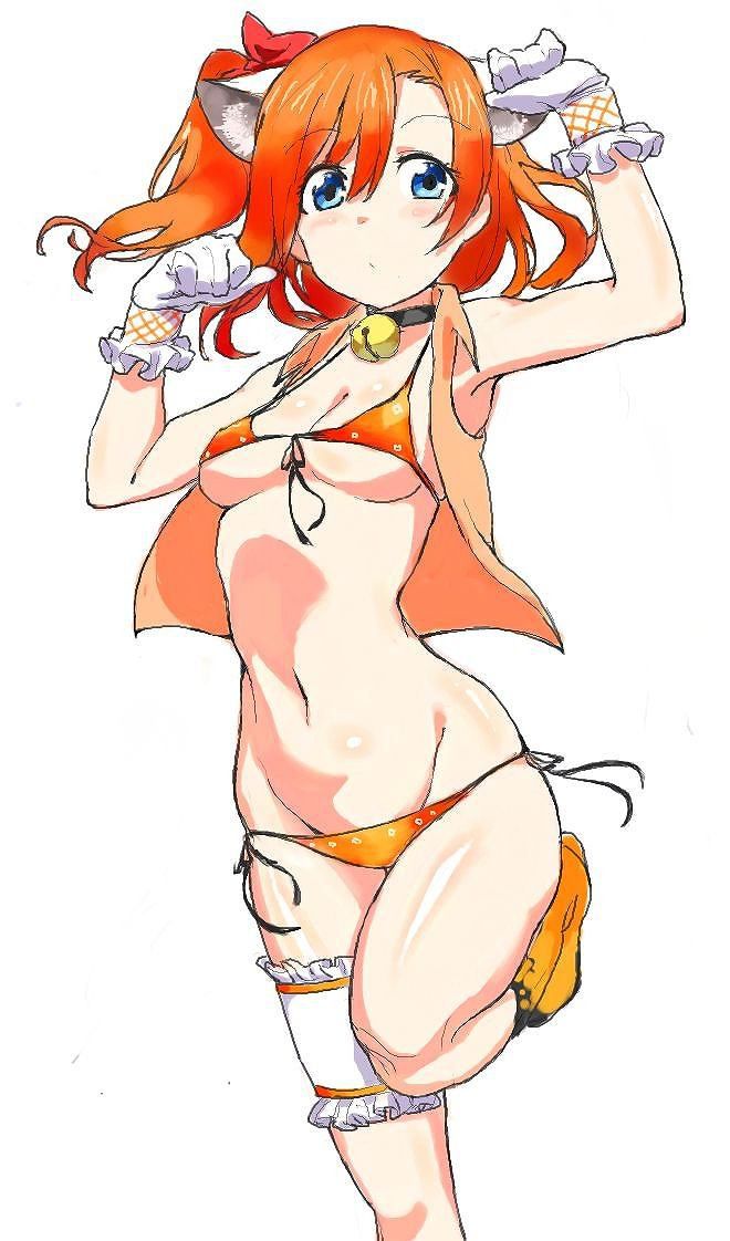 "Love Live 31 Photos" Kosaka Honoka Idol Swimsuit Image Summary 6