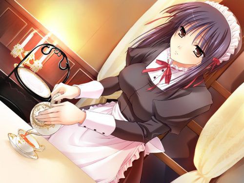 【Secondary erotic】 Erotic images where cute maids serve various things 【50 photos】 18
