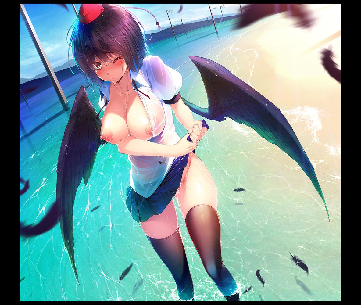 [Touhou Project] Two-dimensional erotic image of the Shameimaru. 15