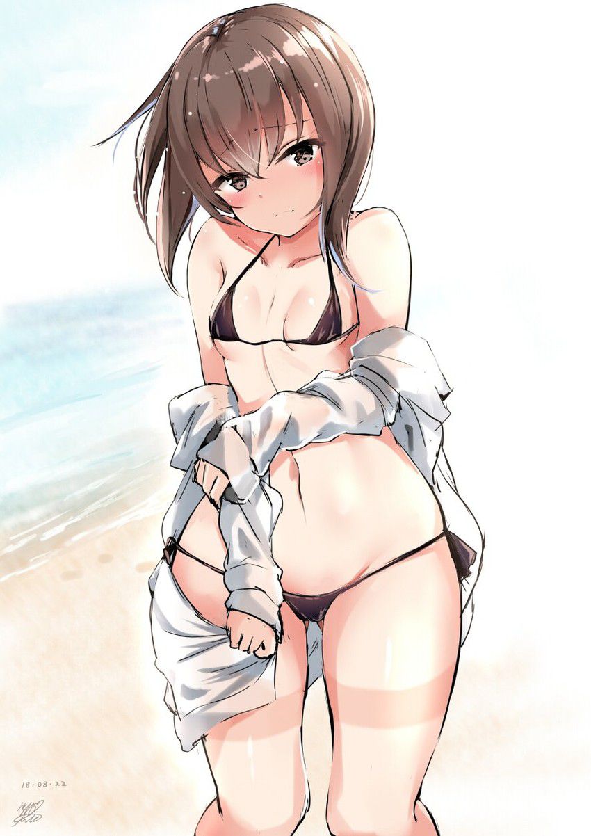 [Kantai Collection] Taiho (Taiho) Photo-Gallery 25