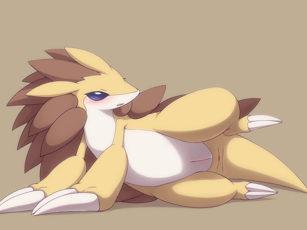 [Pokemono] I put a picture of the Pokemon erotic thread 4 23