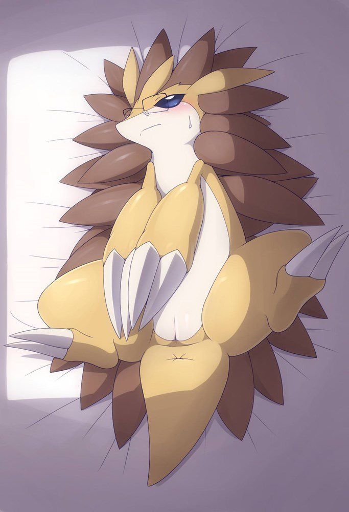 [Pokemono] I put a picture of the Pokemon erotic thread 4 24