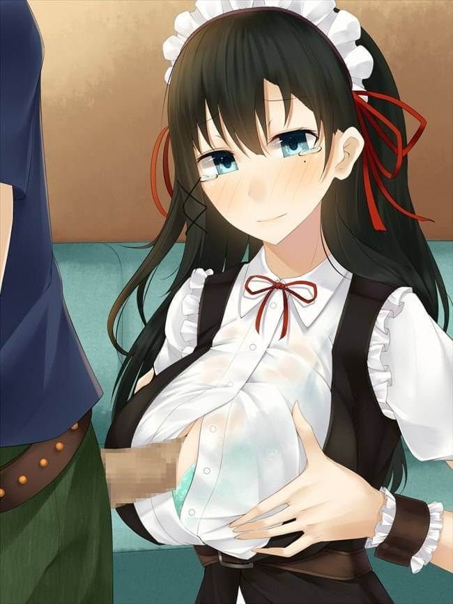 【Erotic Anime Summary】 Erotic image collection where the maid gives an etch service 【40 sheets】 20