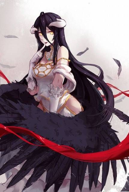 [75 sheets] an image collection of albedo of the overload. 1 【 OVERLORD 】 13