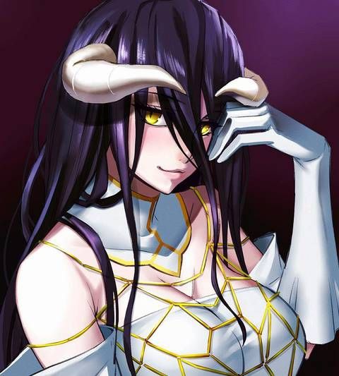 [75 sheets] an image collection of albedo of the overload. 1 【 OVERLORD 】 14