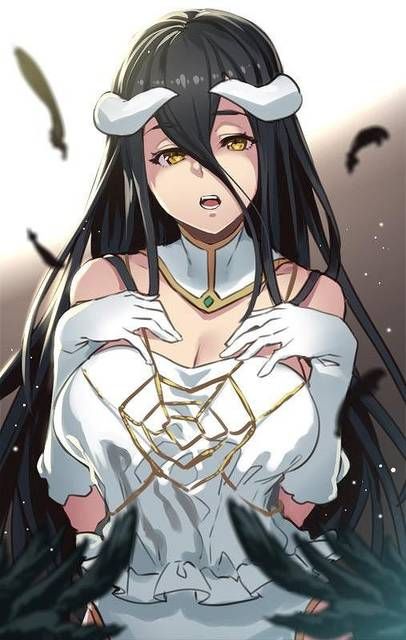 [75 sheets] an image collection of albedo of the overload. 1 【 OVERLORD 】 52