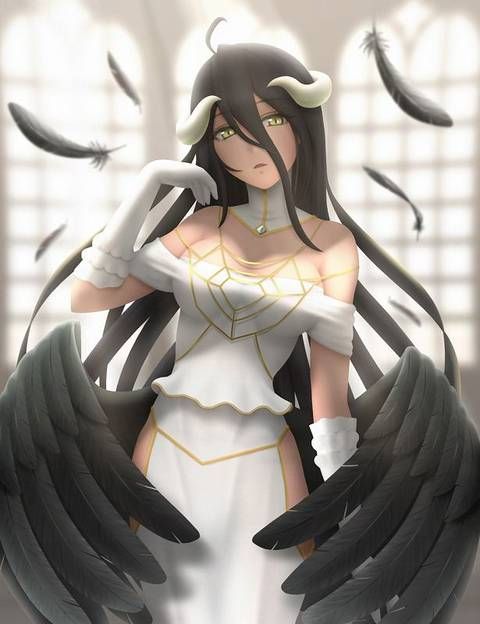 [75 sheets] an image collection of albedo of the overload. 1 【 OVERLORD 】 66