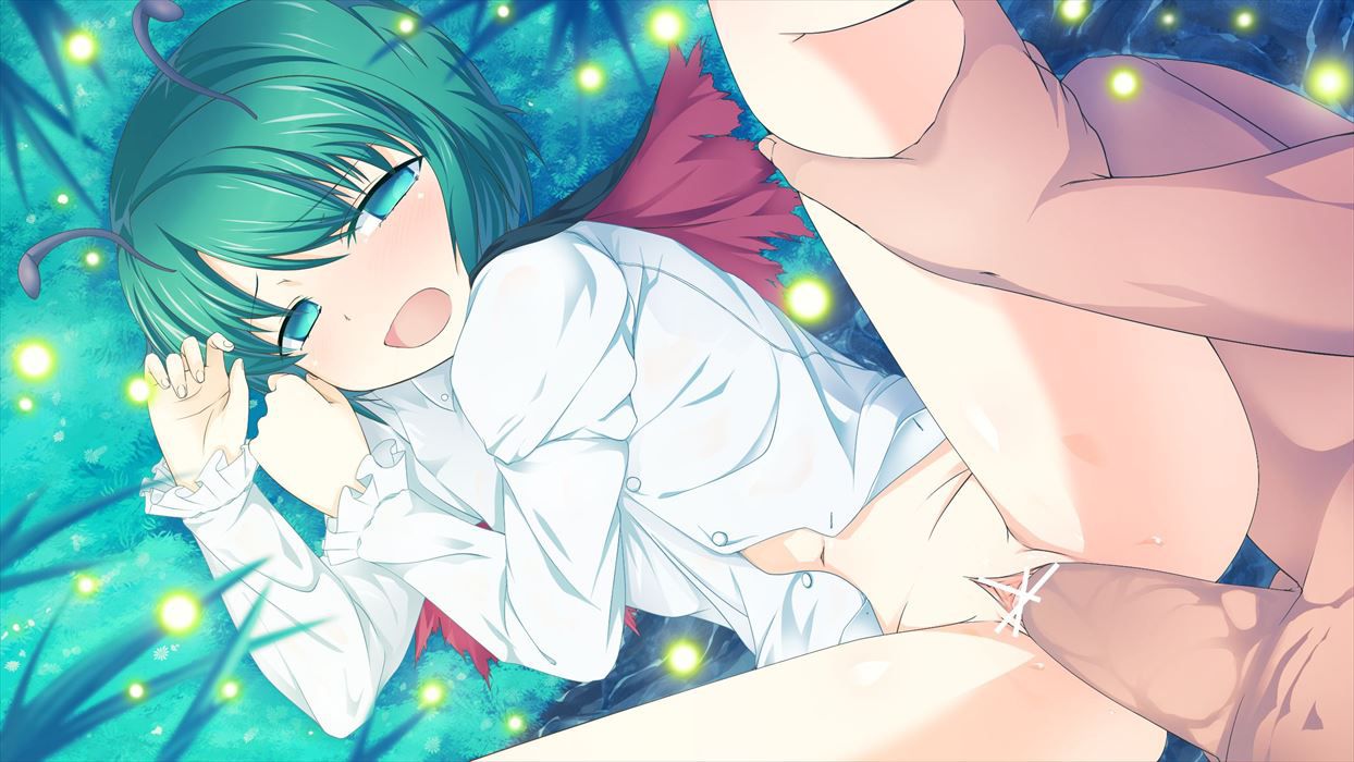 The inside of the night bug in the rig. 100 photos Erotic Pictures [Touhou Project] 53