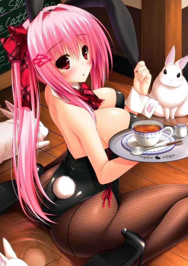 【Erotic Anime Summary】 Erotic image collection of beautiful women and beautiful girls who cosplayed as bunny girls [40 sheets] 1