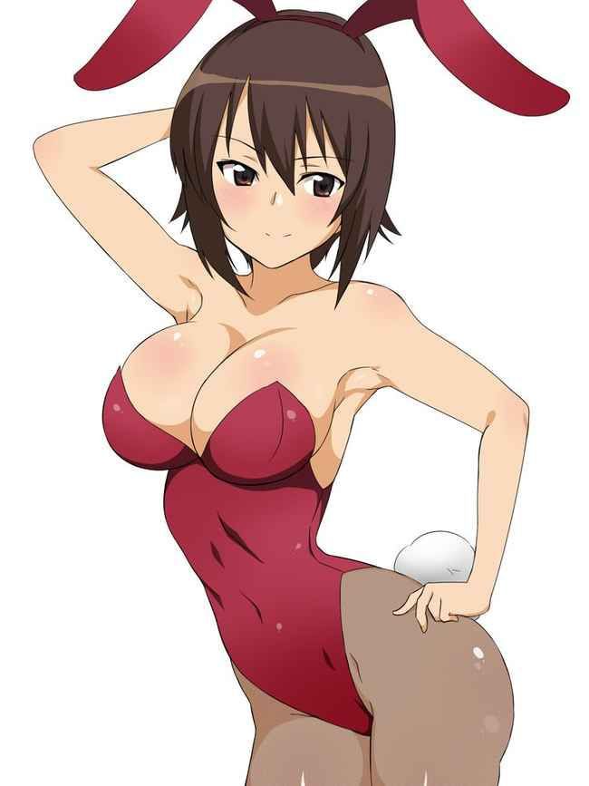 【Erotic Anime Summary】 Erotic image collection of beautiful women and beautiful girls who cosplayed as bunny girls [40 sheets] 18