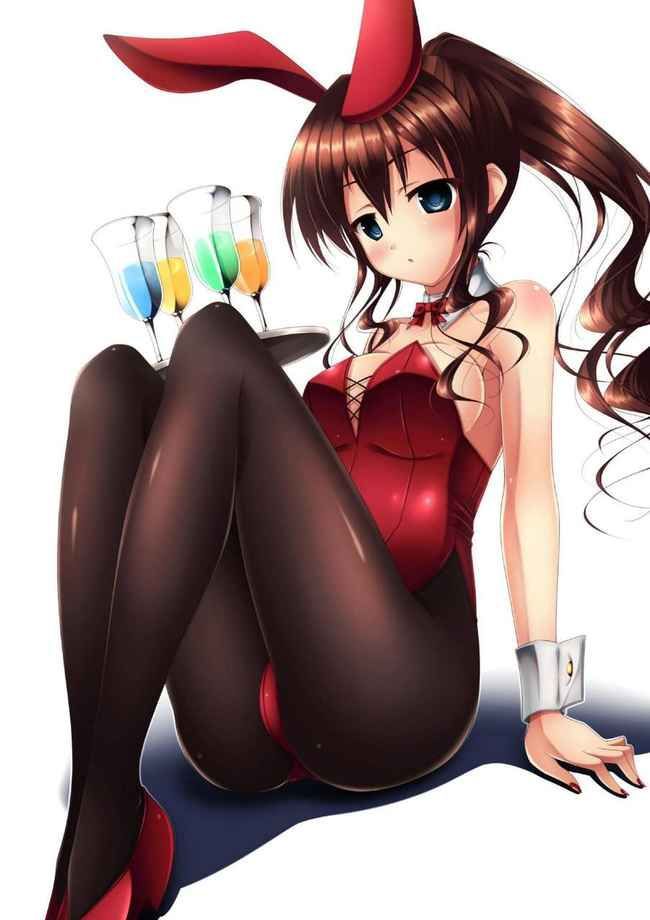 【Erotic Anime Summary】 Erotic image collection of beautiful women and beautiful girls who cosplayed as bunny girls [40 sheets] 26